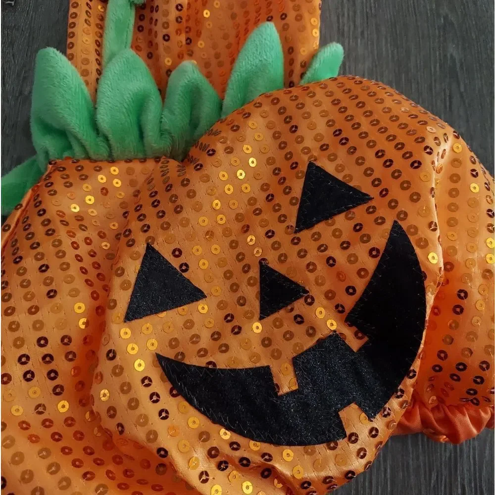 Dog Pumpkin Costume Small